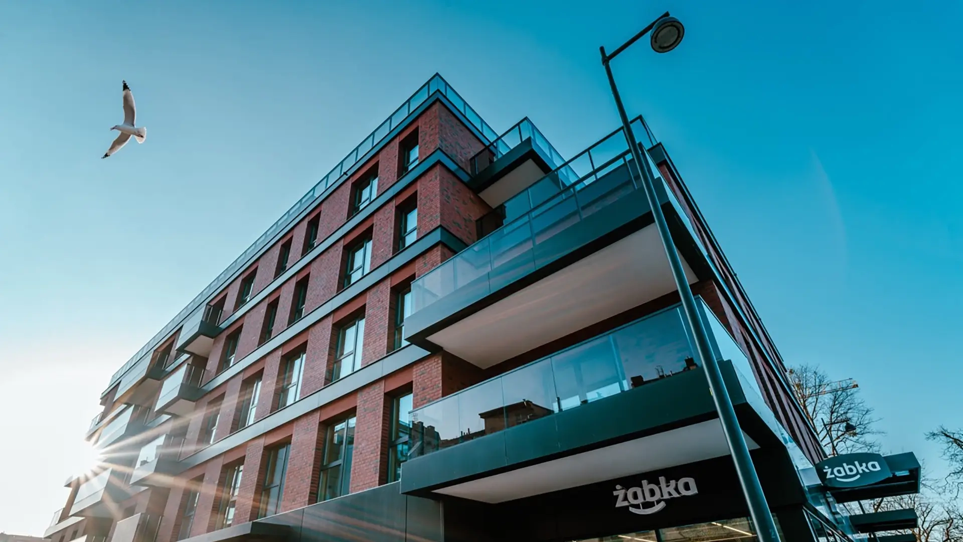 GALERIA ZDJĘĆ UKOŃCZONEGO ETAPU B